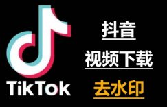 TikTok去水印教程：让你的视频更干净、更专业